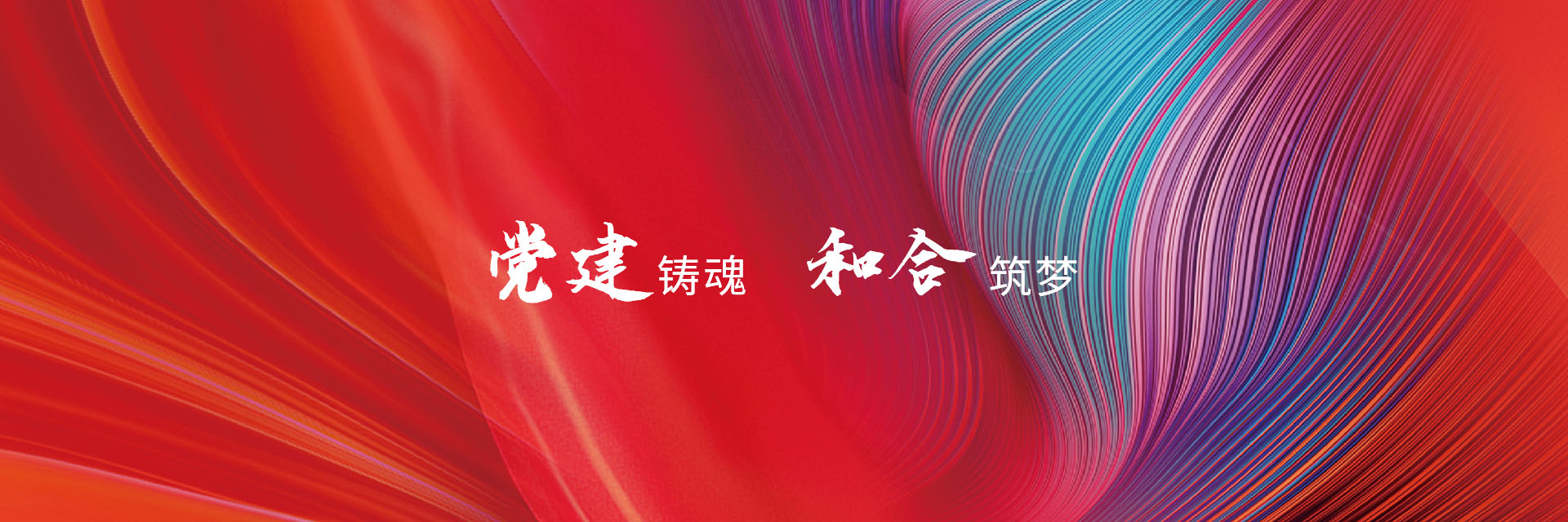 纵横国际