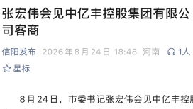 纵横国际