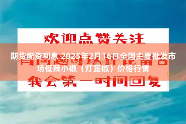期货配资利息 2025年2月16日全国主要批发市场低辣小椒（灯笼椒）价格行情