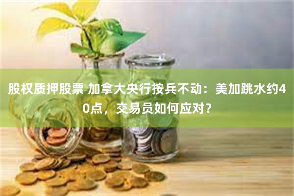 股权质押股票 加拿大央行按兵不动：美加跳水约40点，交易员如何应对？