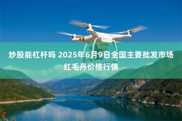 炒股能杠杆吗 2025年6月9日全国主要批发市场红毛丹价格行情