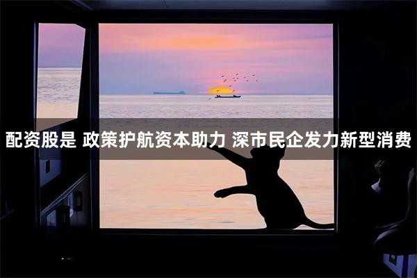 配资股是 政策护航资本助力 深市民企发力新型消费