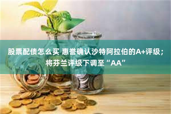 股票配债怎么买 惠誉确认沙特阿拉伯的A+评级；将芬兰评级下调至“AA”
