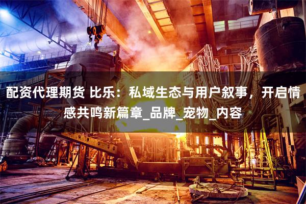 配资代理期货 比乐：私域生态与用户叙事，开启情感共鸣新篇章_品牌_宠物_内容