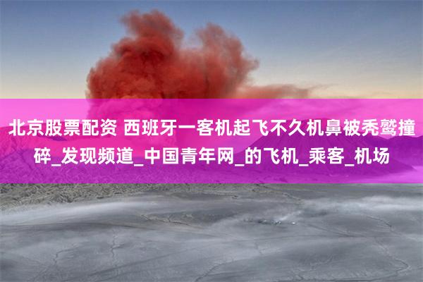 北京股票配资 西班牙一客机起飞不久机鼻被秃鹫撞碎_发现频道_中国青年网_的飞机_乘客_机场