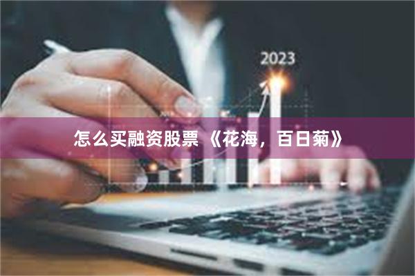 怎么买融资股票 《花海，百日菊》